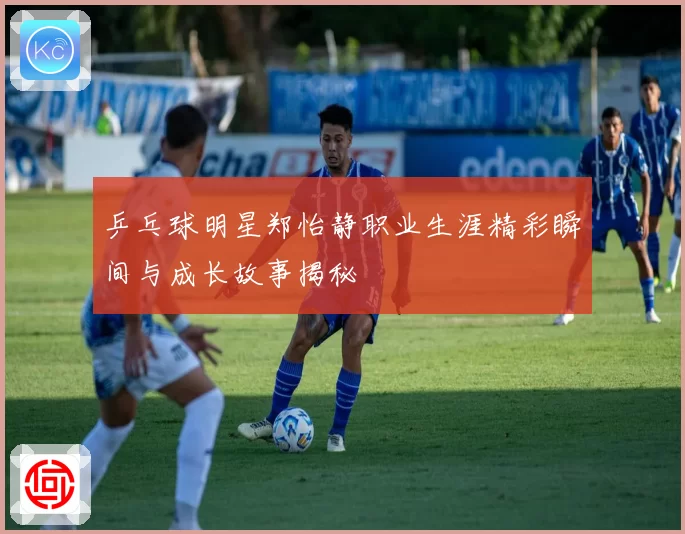 乒乓球明星郑怡静职业生涯精彩瞬间与成长故事揭秘