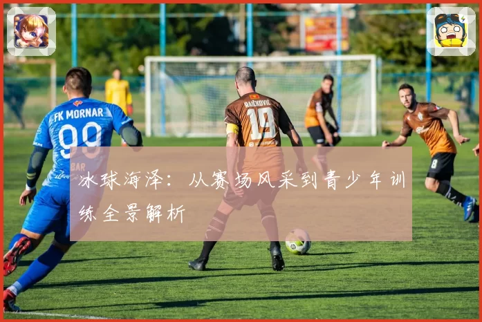 冰球海泽：从赛场风采到青少年训练全景解析