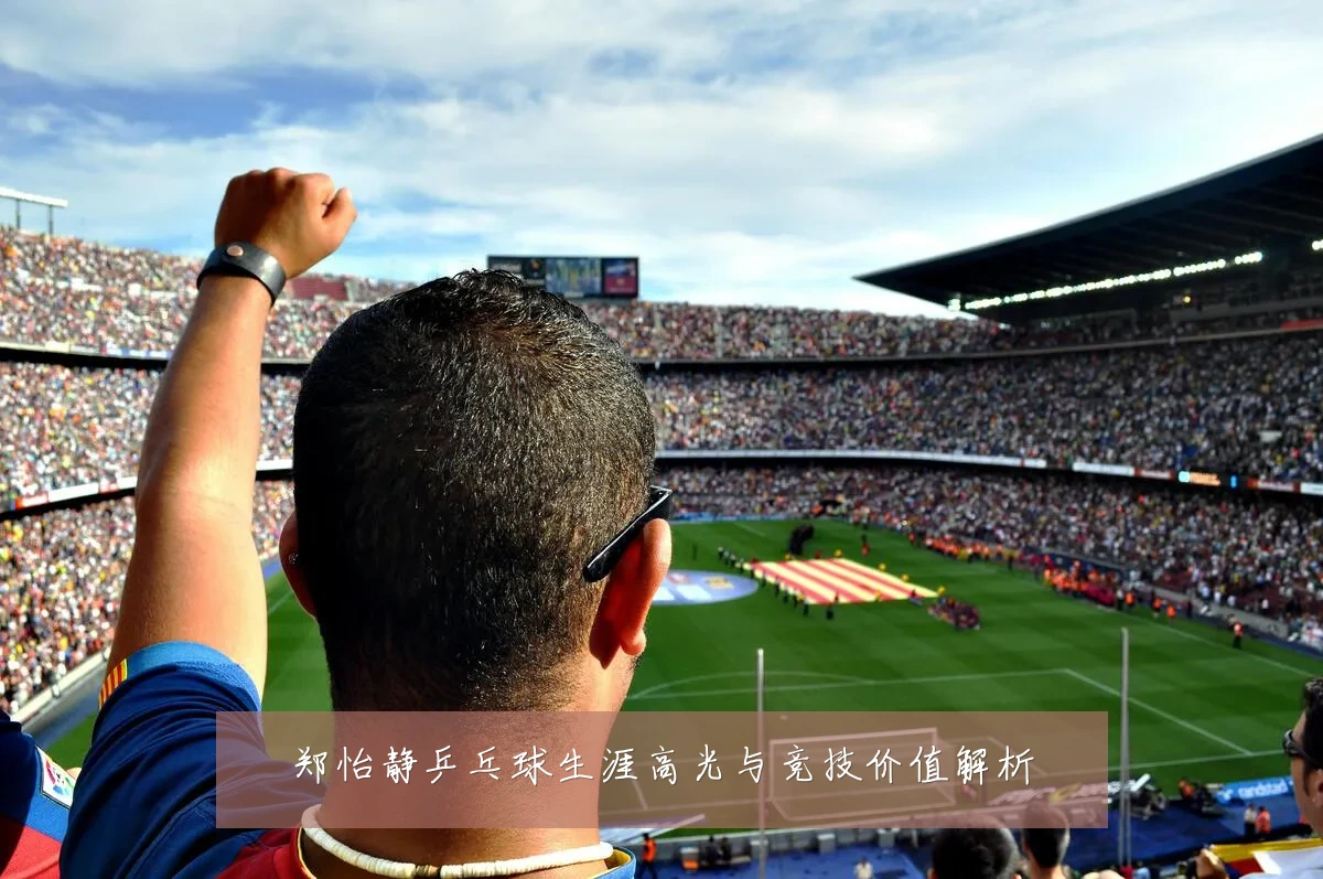 郑怡静乒乓球生涯高光与竞技价值解析